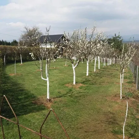 Holiday home Vikendica Na Selu Dragoradi *